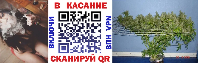 Галлюциногенные грибы Шилка
