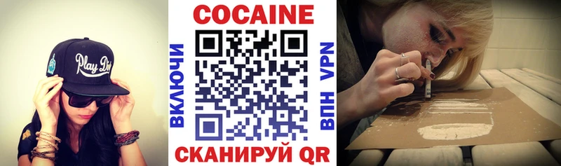 MEGA сайт  Шилка  Cocaine Fish Scale  цена  