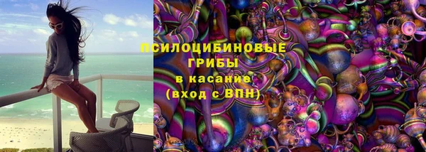 прущие грибы Белоозёрский