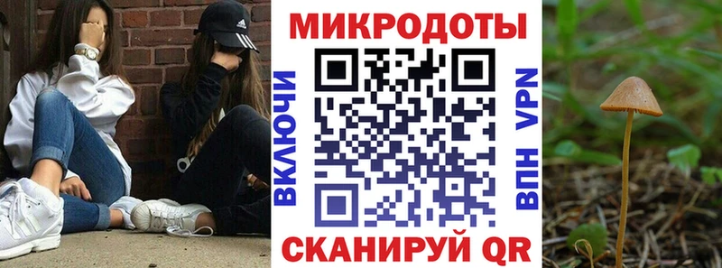 блэк спрут ССЫЛКА  Шилка  Псилоцибиновые грибы прущие грибы 