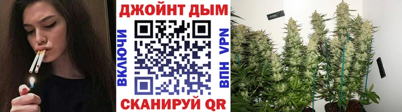 Конопля MAZAR  наркота  сайты даркнета наркотические препараты  Шилка 